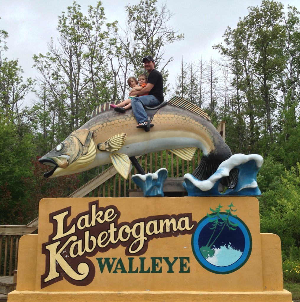 Kabetogama Walleye 2014