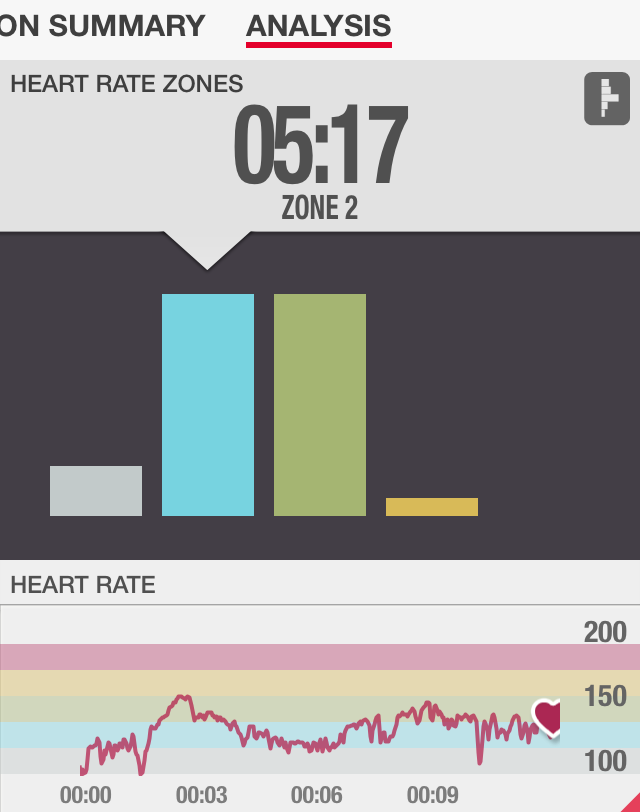Ab Hammer Heart Rate Review