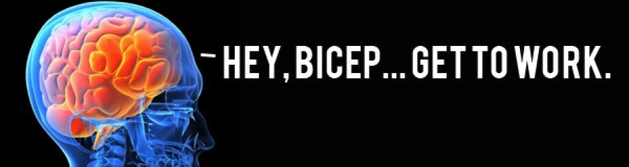 Bicep Get to Work