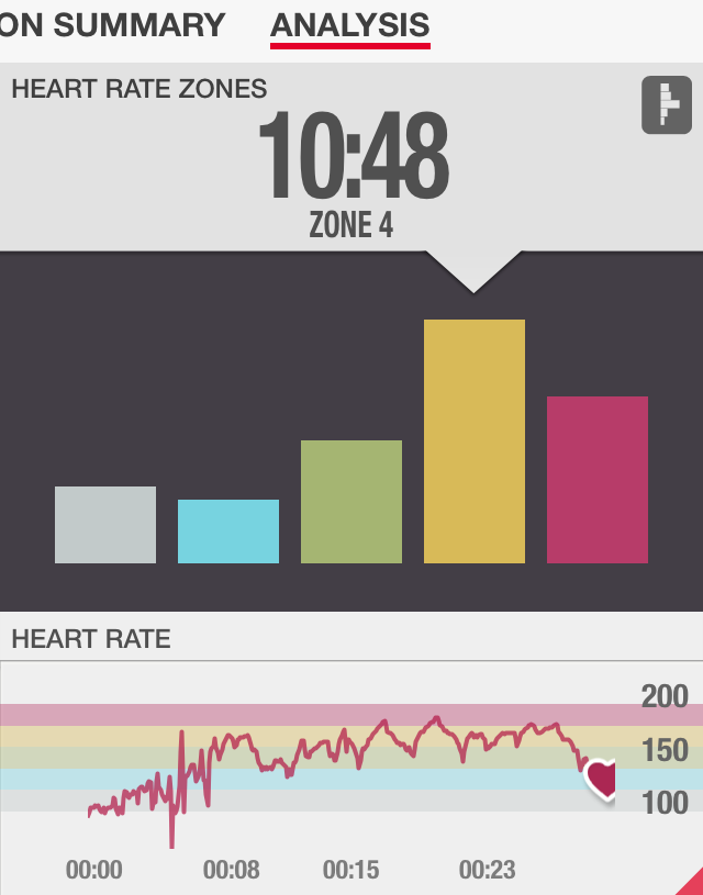 Hammer Build Up Heart Rate Review