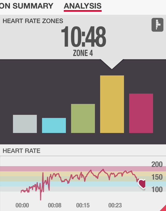 Hammer Conditioning Heart Rate Review