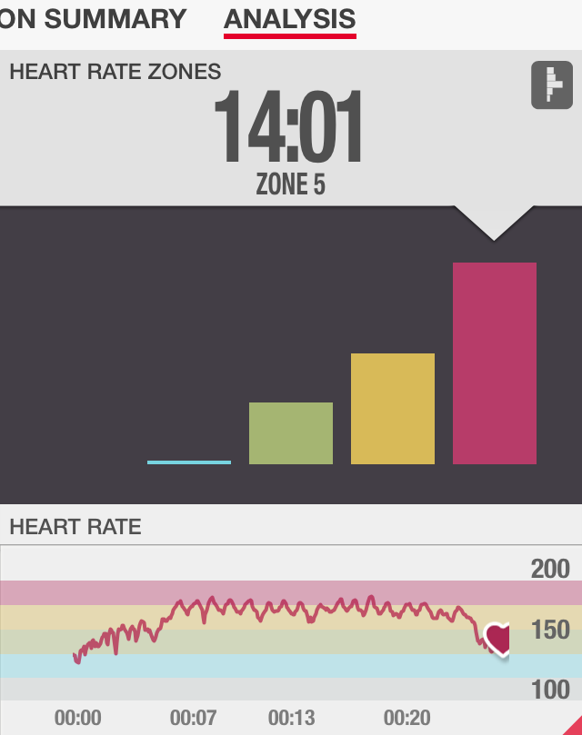 Hammer Plyo Heart Rate Review