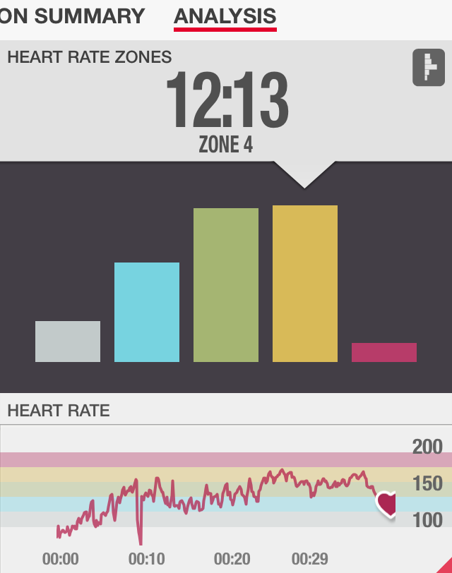 Hammer Power Heart Rate Review