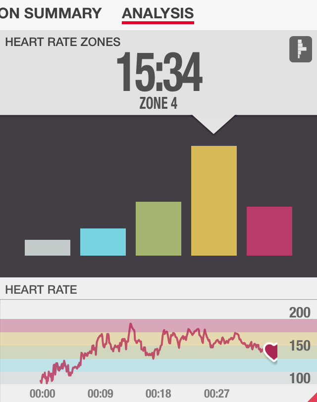 Max Hammer Strength Heart Rate Review
