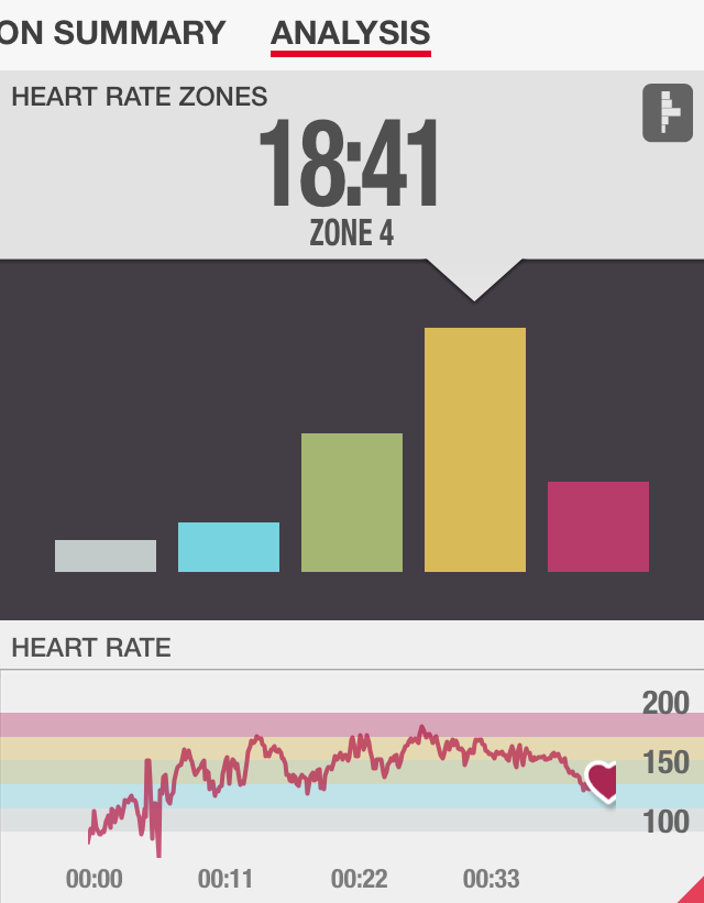 Total Body Hammer Heart Rate Review