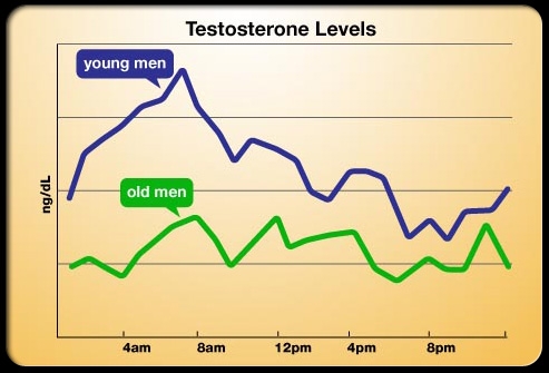 Testosterone Levels Chart