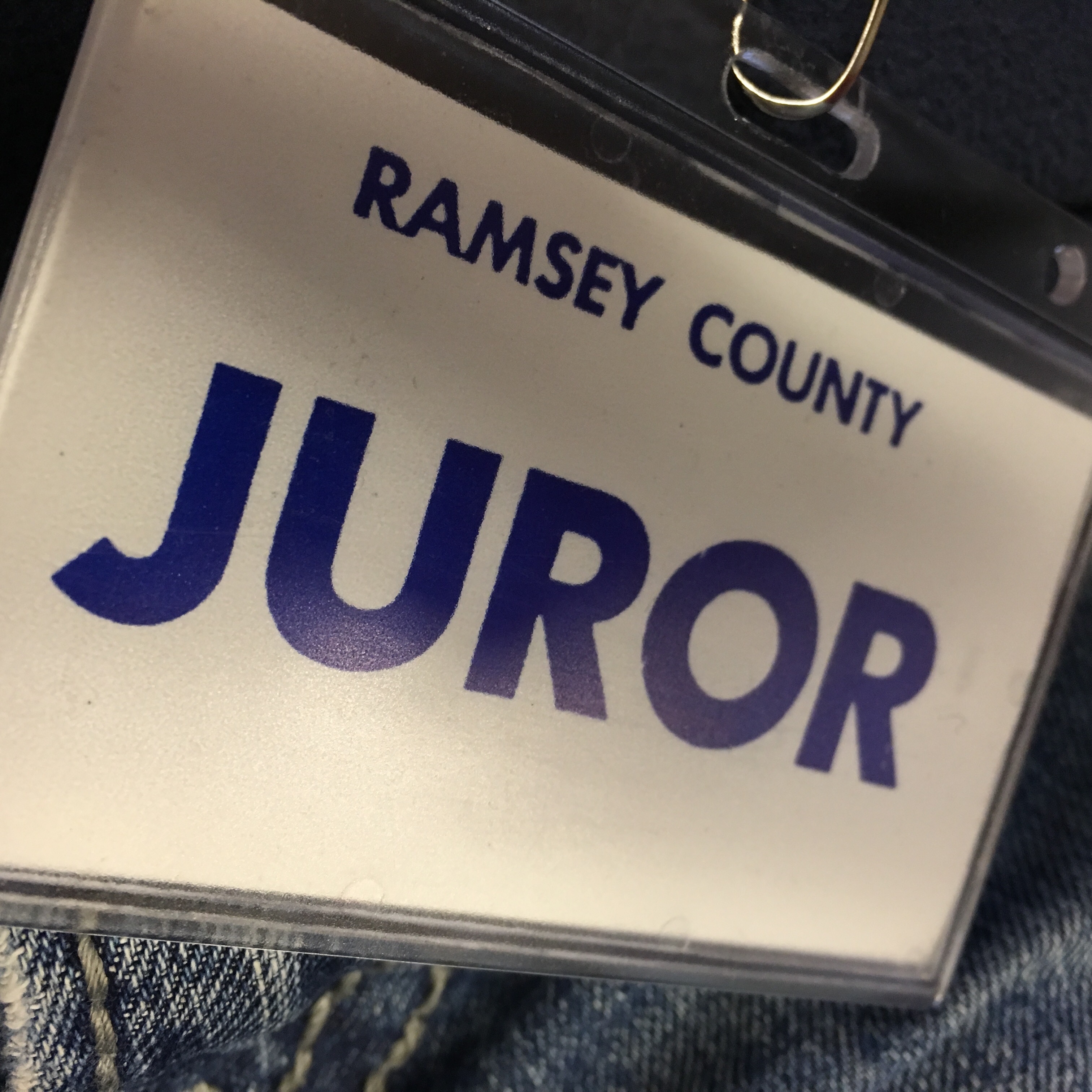 Official Juror Jury Duty