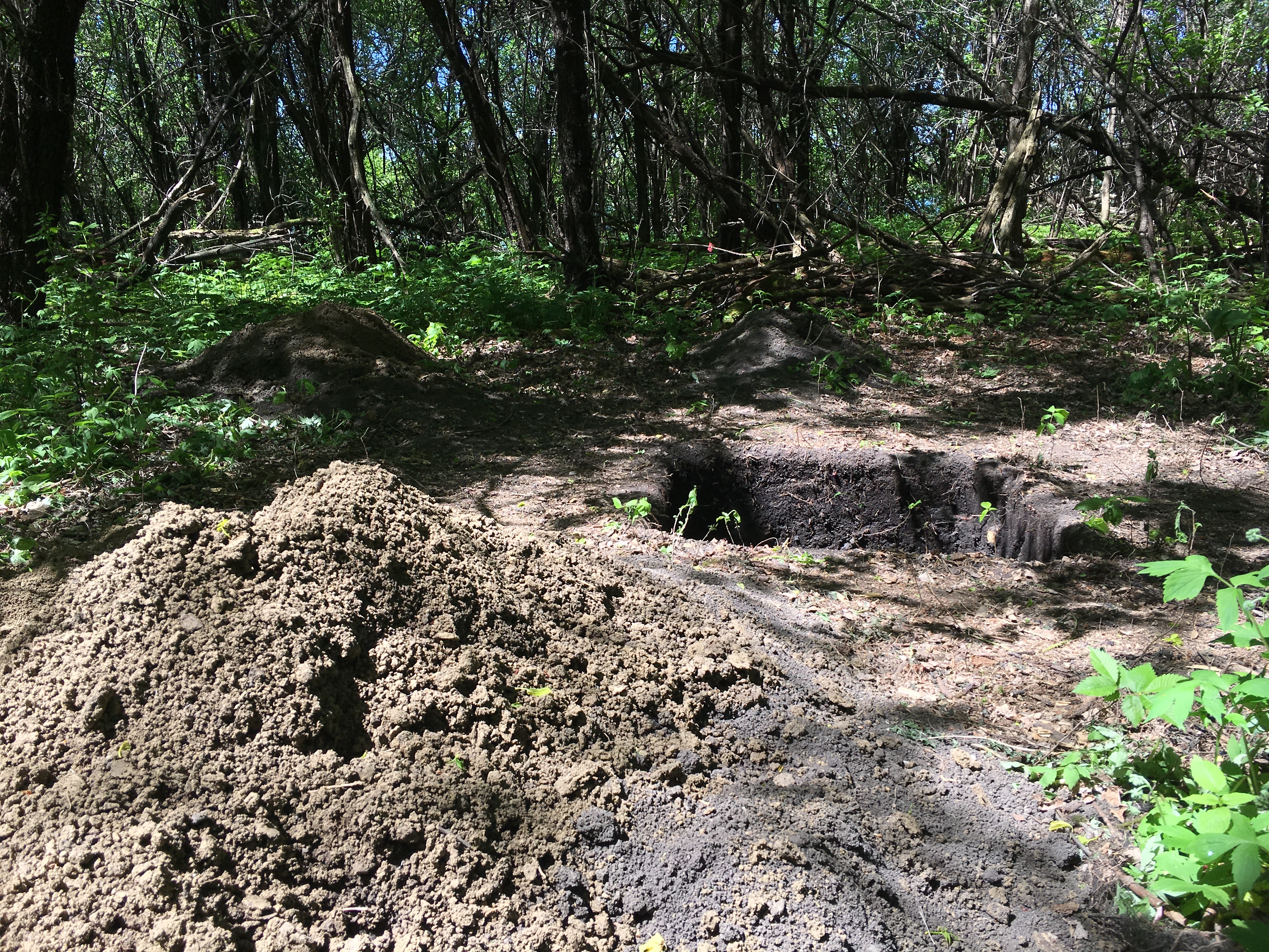 Island Archaeology Test Pit