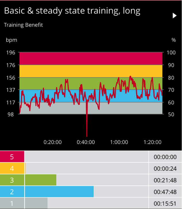 Phase 1 Archaeology Heart Rate Morning 2