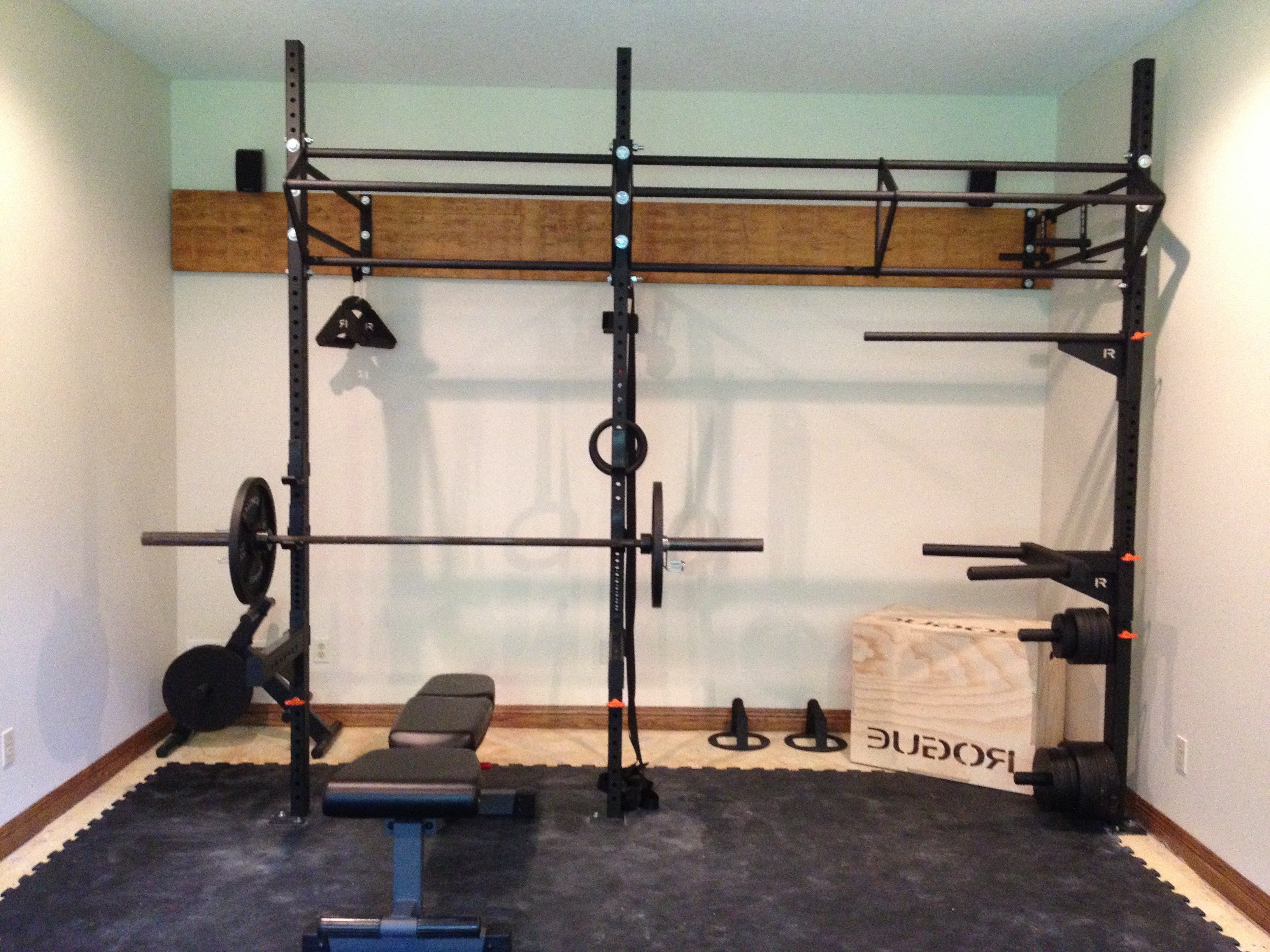 Rogue Fitness Rig