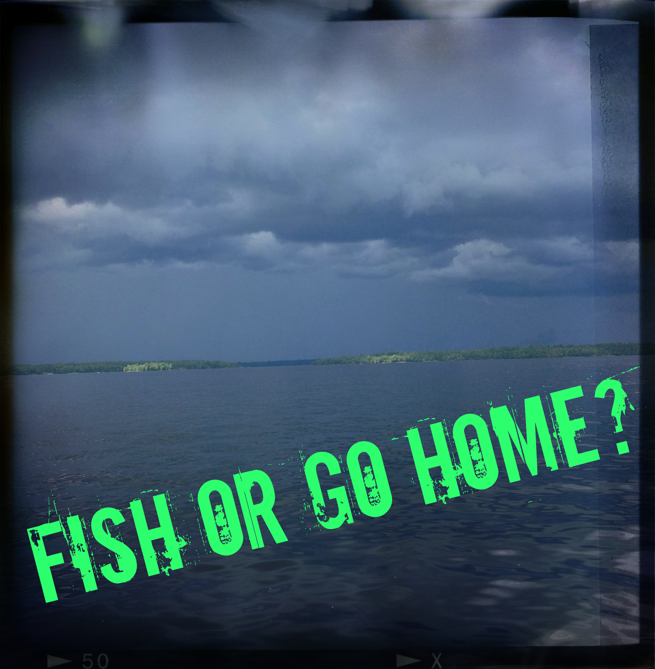 Fish or Go Home