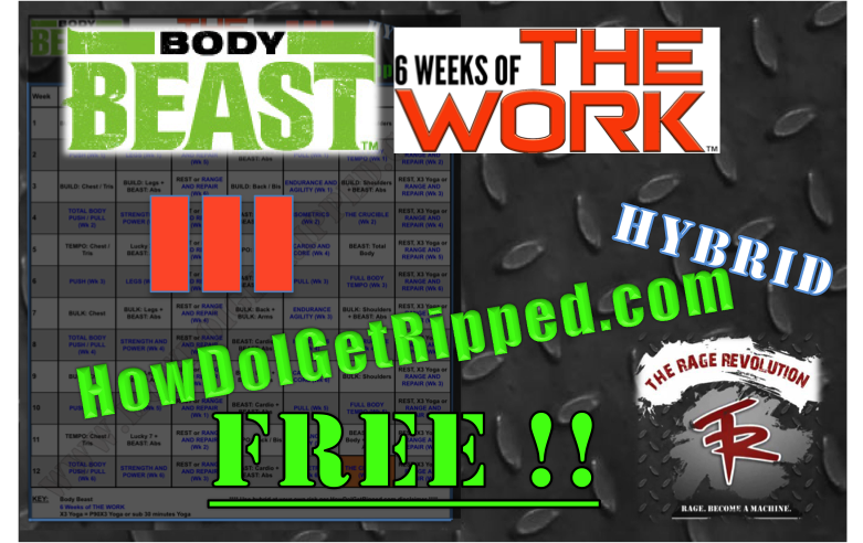 FREE 6 Weeks of THE WORK Body Beast Hybrid! 